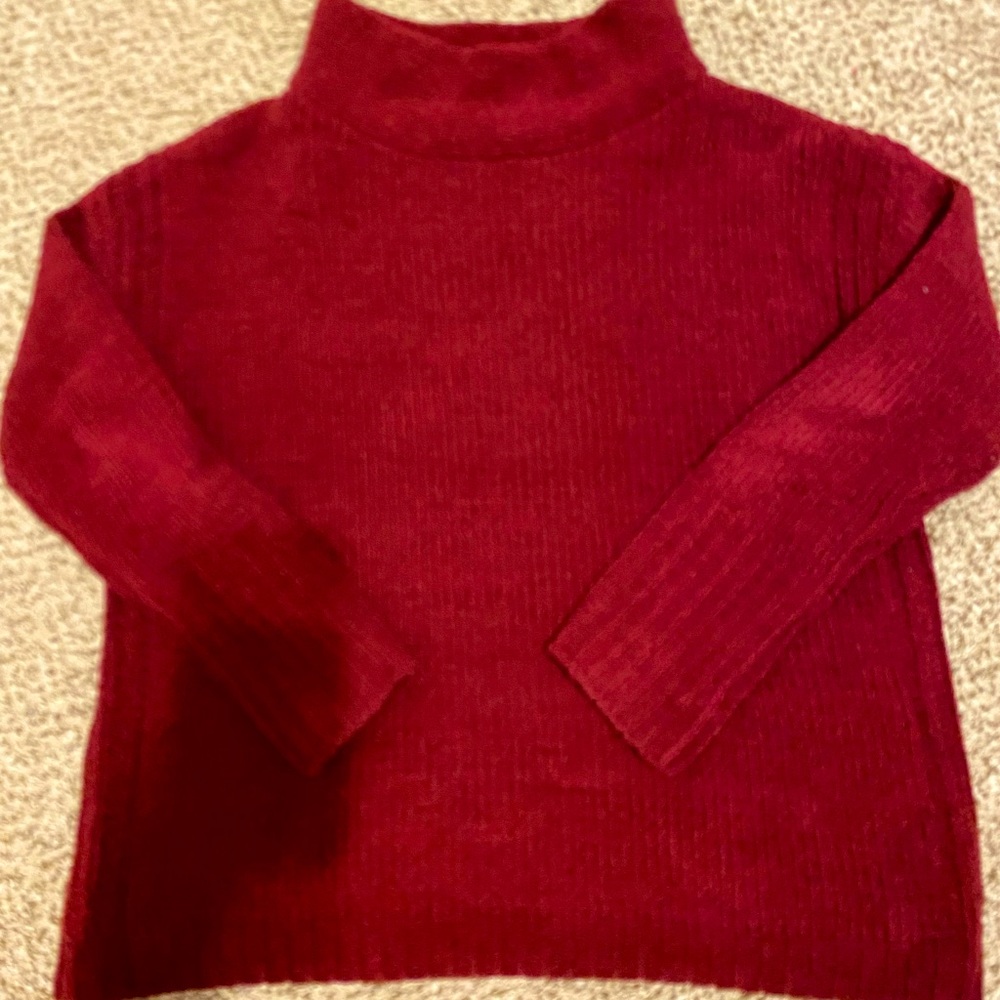 Burgundy turtle neck sweater